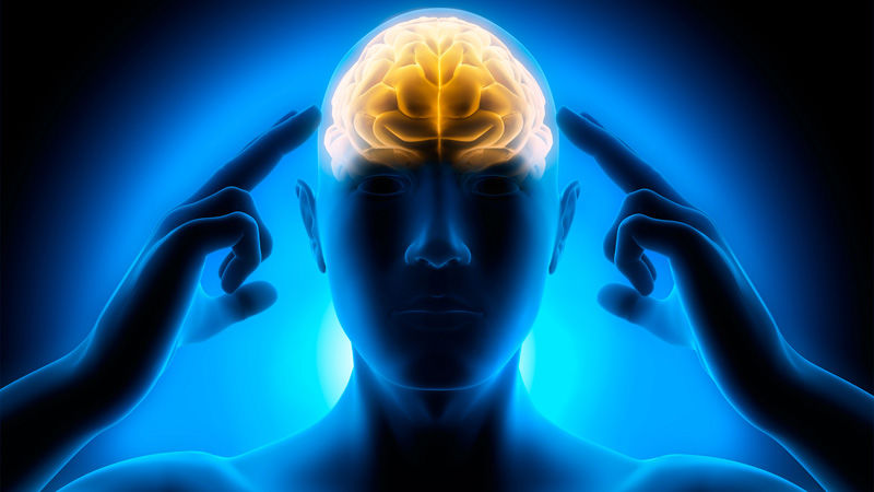 bases neurobiológicas y las adicciones