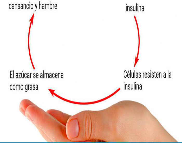 Causas de la resistencia a la insulina