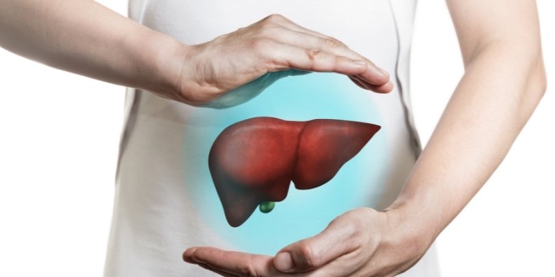 Hígado graso y una salud equilibrada