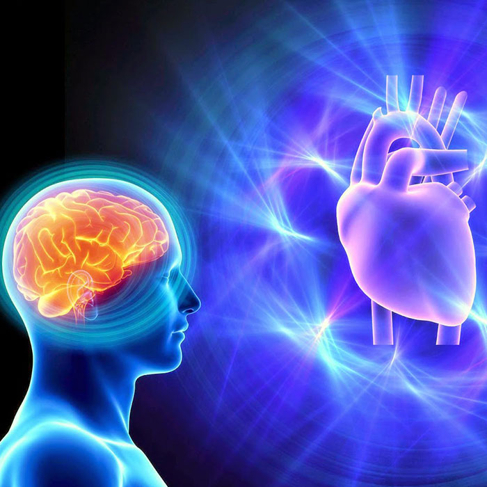 interacción cerebro-corazón