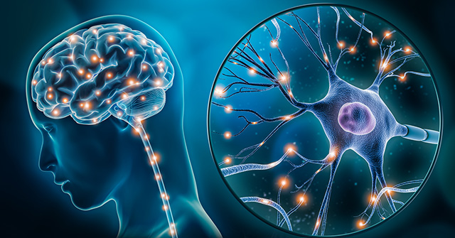 Neuroplasticidad del sistema nervioso y una salud equilibrada
