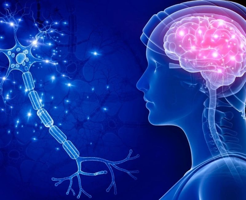 Sistema sensorial y una salud equilibrada