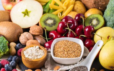 nutrición